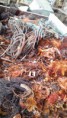 /album/cobre-de-segunda/cobre-de-segunda-01-jpg/